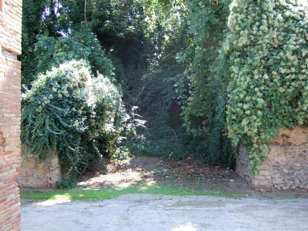 Unnamed, unexcavated vicolo between 1.18 and I.19. September 2005. Looking south. 