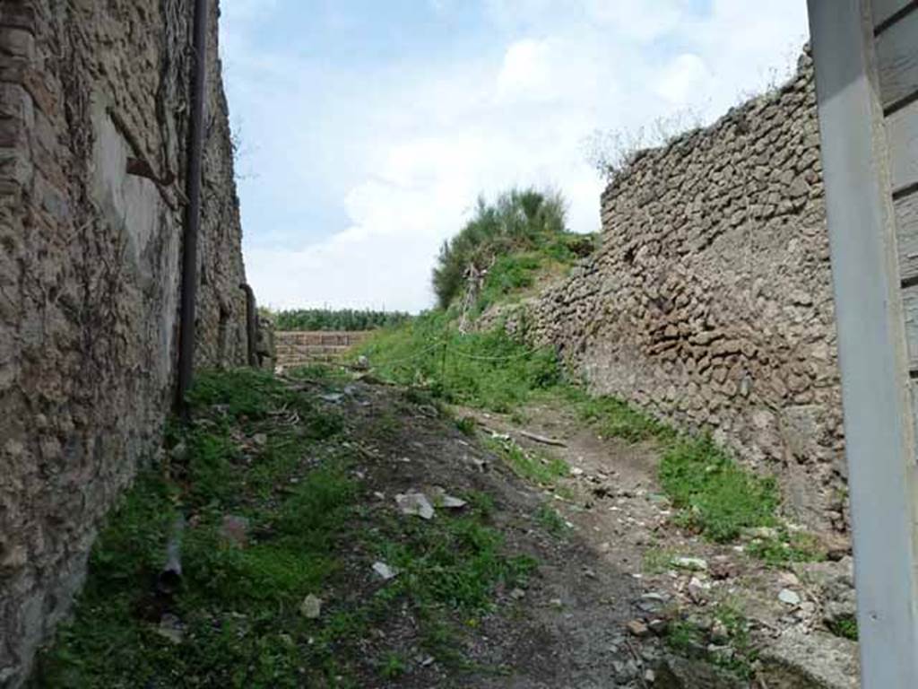 Via dell’Abbondanza. May 2010. Unnamed vicolo between III.4 and III.5. Looking north.