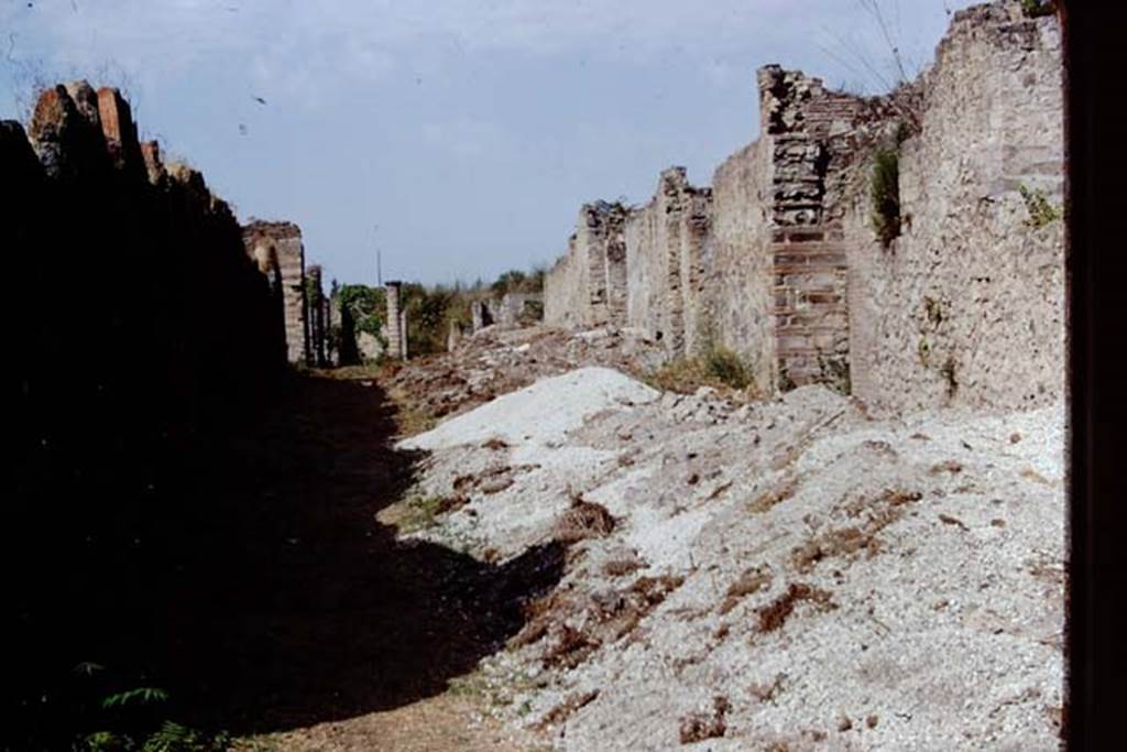 Via della Palestra between I.20 and I.14. Pompeii. 1972. Looking west. Photo by Stanley A. Jashemski. 
Source: The Wilhelmina and Stanley A. Jashemski archive in the University of Maryland Library, Special Collections (See collection page) and made available under the Creative Commons Attribution-Non Commercial License v.4. See Licence and use details.
J72f0415
According to Wilhelmina, at the end of the dig to save time and to finish things, Prof. Cerulli had told them to carry all of their fill (from I.15) in wheelbarrows out into the street, and then when they had finished, she hired three huge four-wheeled trucks and an earth moving machine to remove the piles of fill from the streets, as high as walls. This saved both time and several thousand dollars.
See Jashemski W. F., 2014. Discovering the Gardens of Pompeii: The Memoirs of a Garden Archaeologist 1955 – 2004, (p.197).
