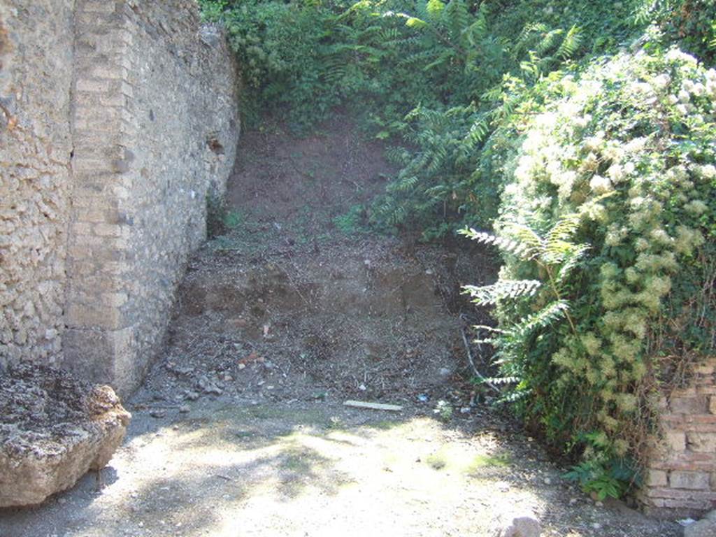 Unexcavated vicolo between I.17 and I.18. September 2005.
Looking south from the junction
