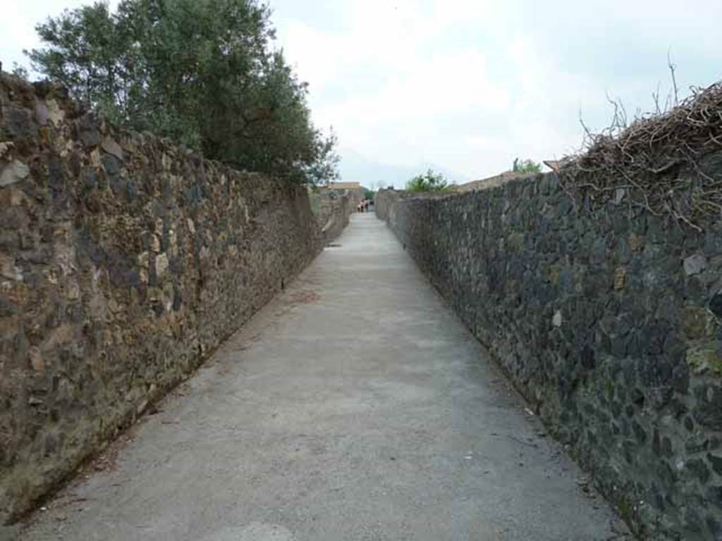 Vicolo dei Fuggiaschi. May 2010. Looking north from between I.21 and I.20 from the south end of the vicolo.