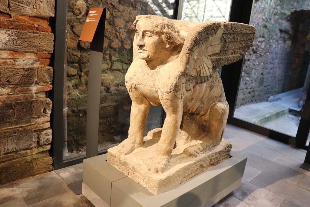 From Farm of Fondo Prisco, Boscoreale. February 2021. 
Detail of tufa Sphynx-shaped tombstone re-used as a kerbstone, on display in Pompeii Antiquarium.
Photo courtesy of Fabien Bivre-Perrin (CC BY-NC-SA).
