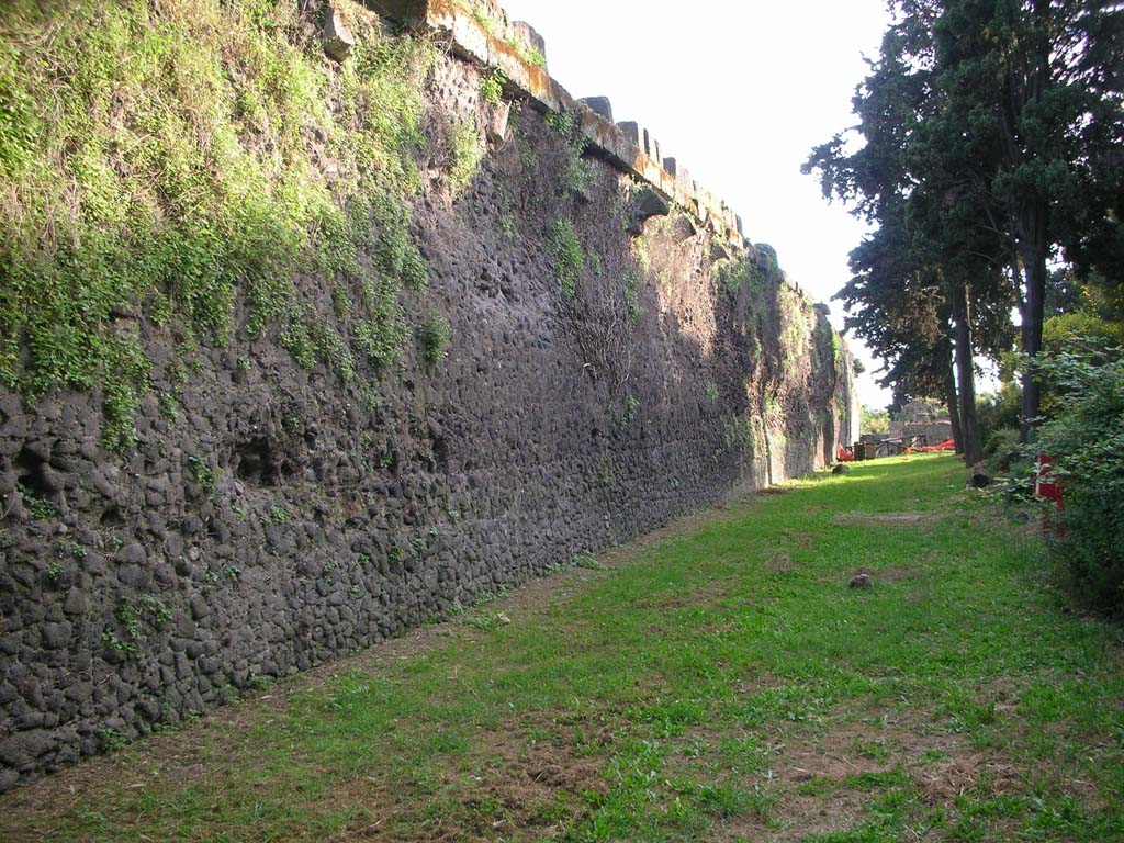Walls on north side of Pompeii. May 2010.  Looking west towards Herculaneum Gate. Photo courtesy of Ivo van der Graaff.