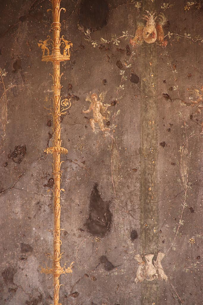 VI.15.1 Pompeii. October 2024.
Detail from black painted panel with candelabra from west end of north wall. 
Photo courtesy of Klaus Heese.
