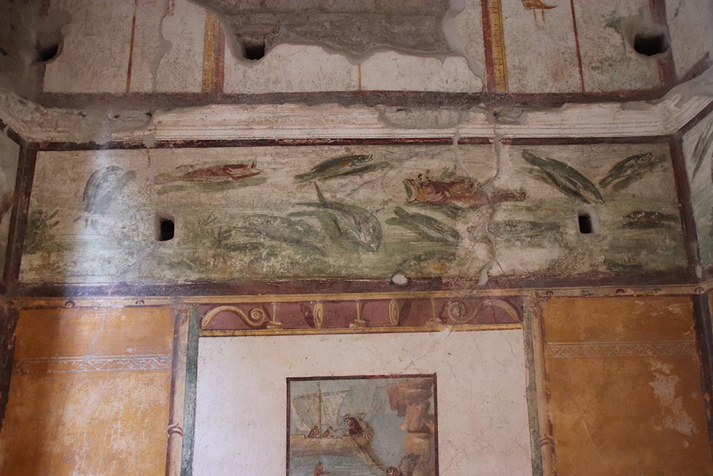 VI.15.1 Pompeii. October 2024. North wall with frieze showing fish and marine life. Photo courtesy of Klaus Heese.