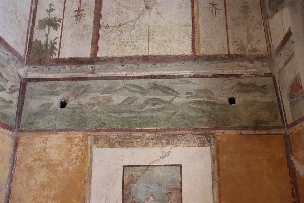 VI.15.1 Pompeii. October 2024. Cubiculum (d), frieze of fish from upper south wall. Photo courtesy of Klaus Heese.