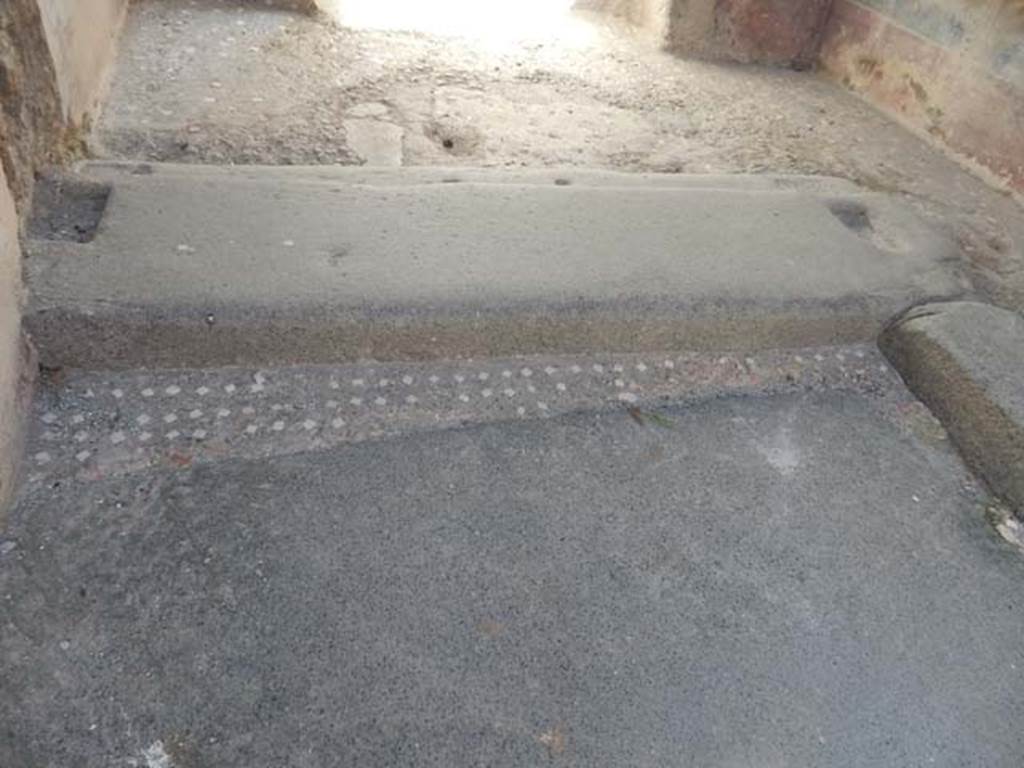 VI.15.1 Pompeii. May 2015. Threshold and flooring from entrance to vestibule.
Photo courtesy of Buzz Ferebee.

