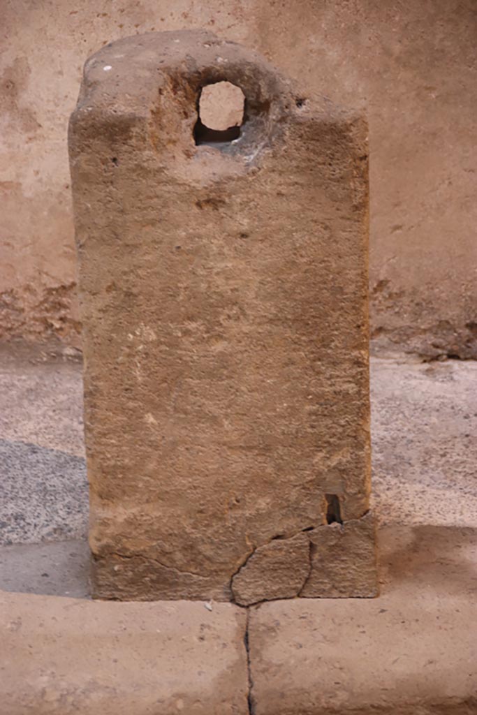 VI.15.1 Pompeii. October 2023. Detail from east side of impluvium. Photo courtesy of Klaus Heese.