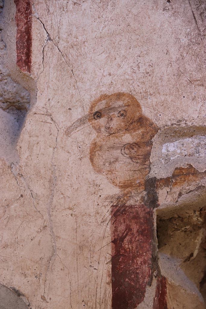 VI.15.1 Pompeii. October 2024. 
Cubiculum (x’), detail from south wall above recess. Photo courtesy of Klaus Heese.
