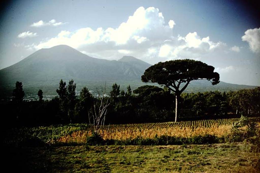 Looking north to Vesuvius. 1959. Photo by Stanley A. Jashemski. Source: The Wilhelmina and Stanley A. Jashemski archive in the University of Maryland Library, Special Collections (See collection page) and made available under the Creative Commons Attribution-Non Commercial License v.4. See Licence and use details.
J59f0595
